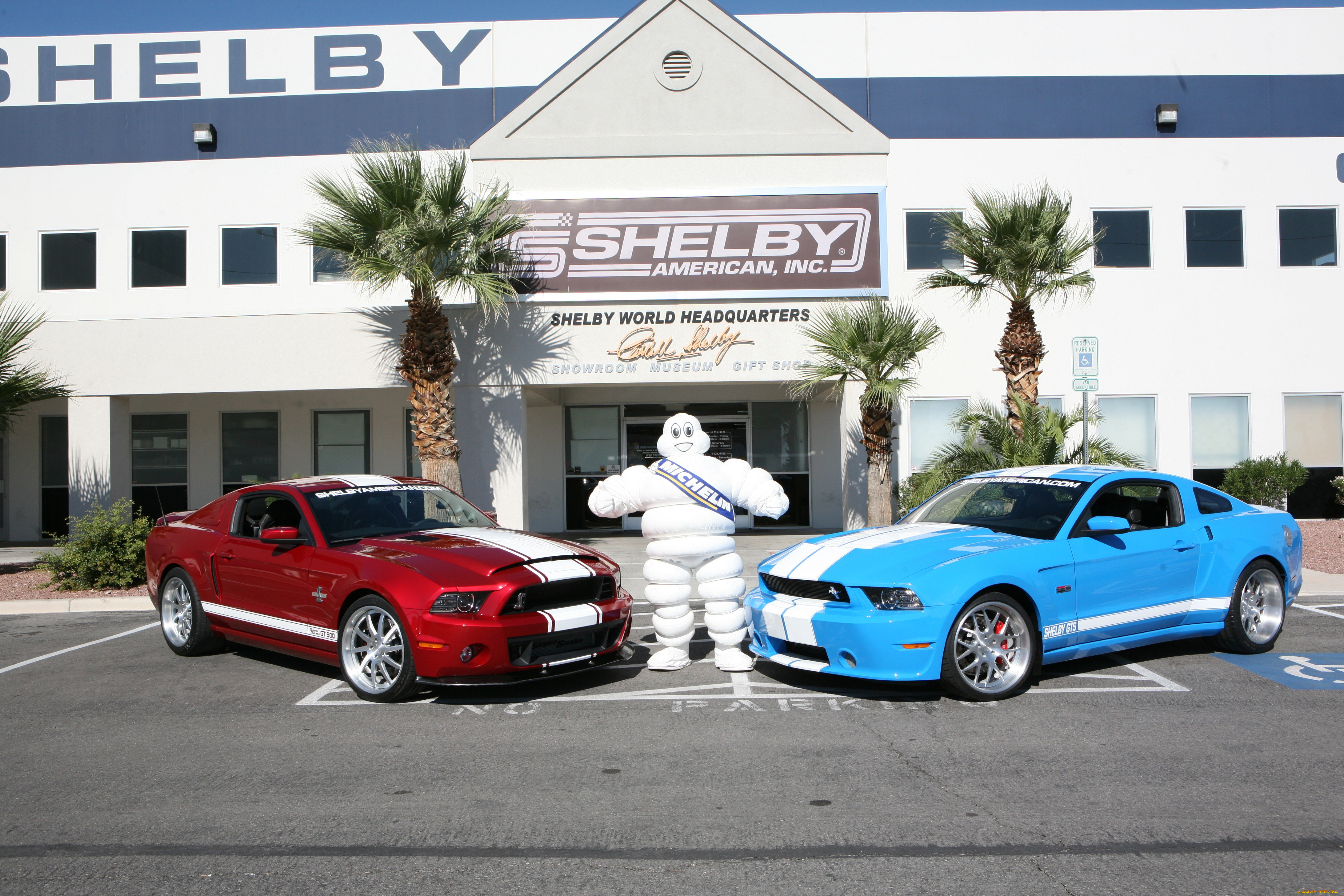 , mustang, shelby